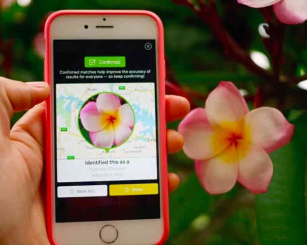Aplicativo para identificar plantas