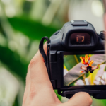 Identifique plantas com a câmera do celular