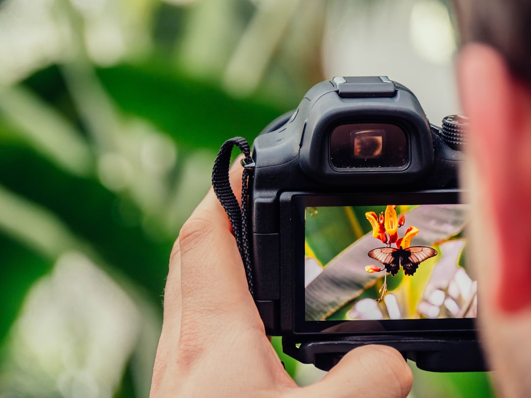 Identifique plantas com a câmera do celular
