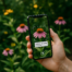 Identifique plantas e flores com esse aplicativo